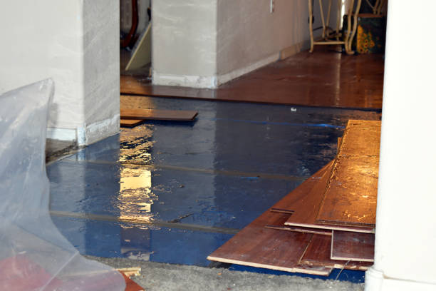 Professional Basement Flood Cleanup technician working in Norwich, NY